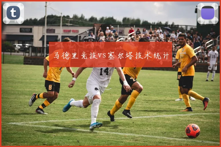 马德里竞技vs塞尔塔技术统计