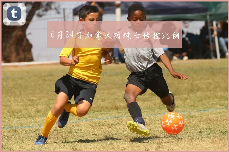 6月24日加拿大对瑞士传控比例