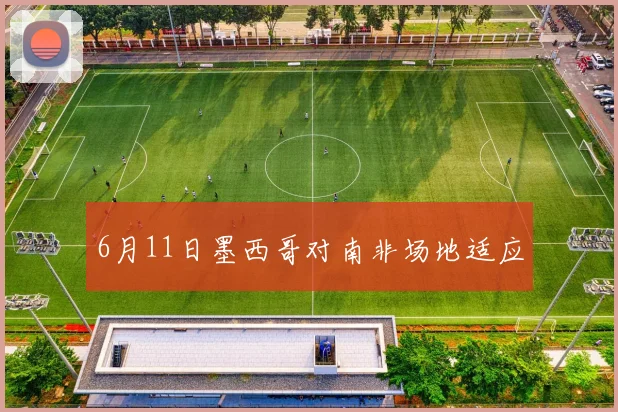 6月11日墨西哥对南非场地适应