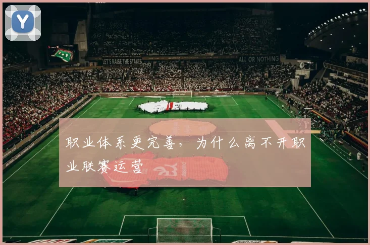 职业体系更完善，为什么离不开职业联赛运营